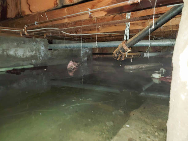 Reliable Matamoras, PA Water damage restoration Solutions