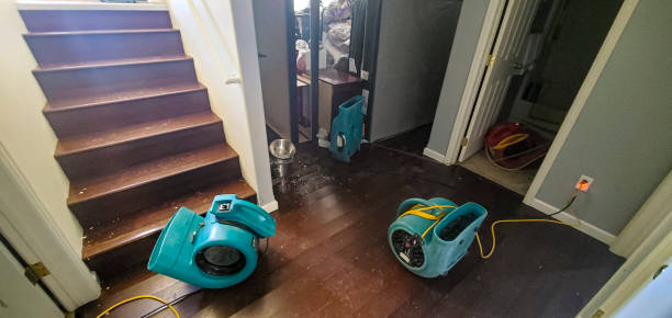 Best Water damage restoration near me  in Matamoras, PA