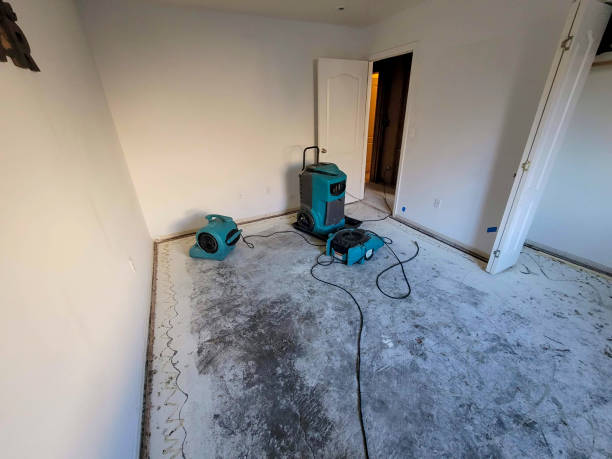 Best Flood restoration services  in Matamoras, PA