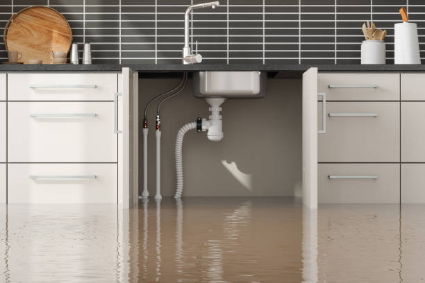 Best Flooded house restoration  in Matamoras, PA