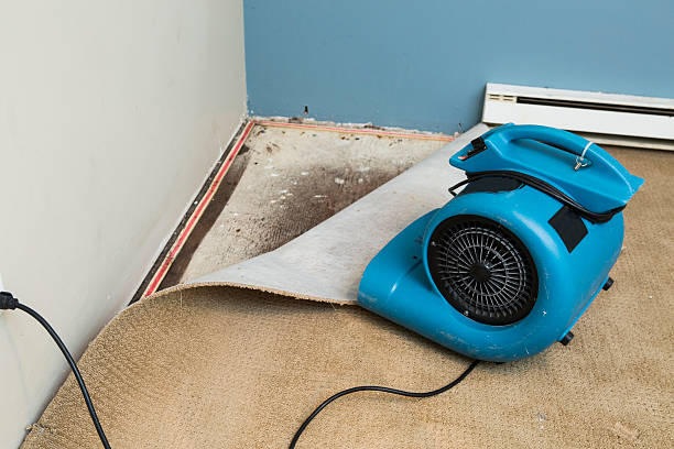 Best Flood restoration services  in Matamoras, PA